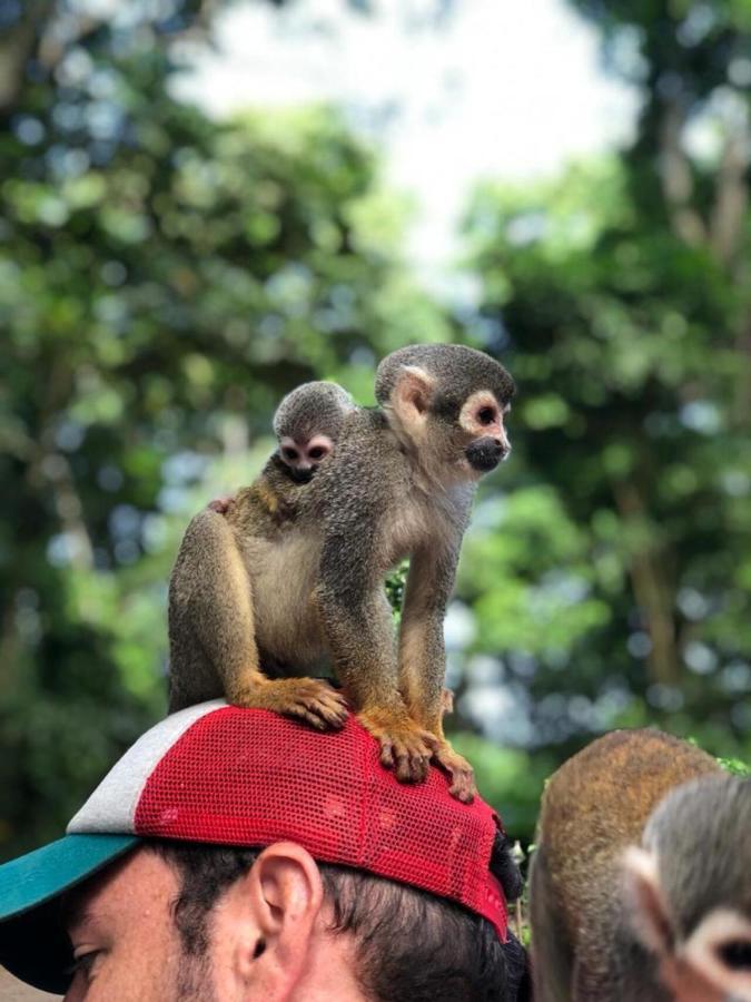 Hotel Yurupary Amazonas Летісія Екстер'єр фото
