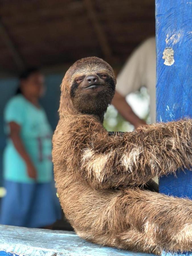 Hotel Yurupary Amazonas Летісія Екстер'єр фото